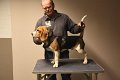 Afb_20190127_diesel (7)